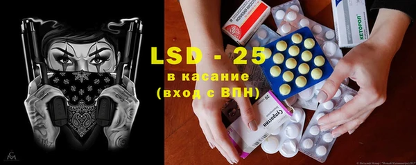 прущие грибы Нея