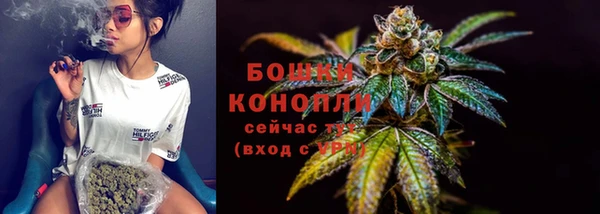 прущие грибы Нея