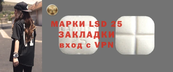 прущие грибы Нея