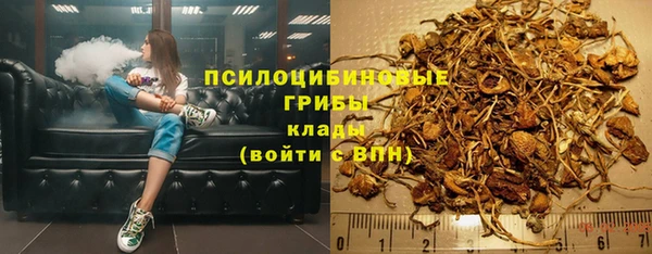 ГАЛЛЮЦИНОГЕННЫЕ ГРИБЫ Новокубанск