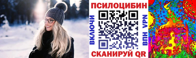 как найти закладки  Ковдор  Псилоцибиновые грибы Cubensis 